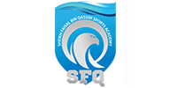 SFQ Swim Squad
